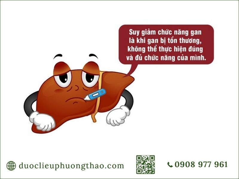 Suy giảm chức năng gan là gì? Có những nguyên nhân, dấu hiệu và cách chăm sóc nào? Tìm hiểu suy giảm chức năng gan là gì và dấu hiệu nhận biết sớm.