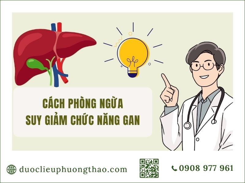 Suy giảm chức năng gan là gì? Có những nguyên nhân, dấu hiệu và cách chăm sóc nào? Mách bạn các biện pháp phòng ngừa suy giảm chức năng gan là gì? hiệu quả an toàn