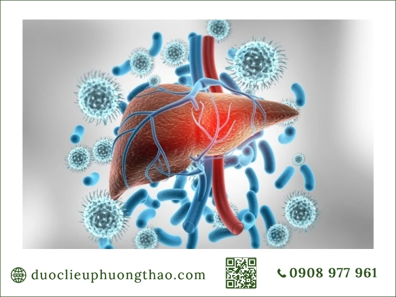 Ung thư gan là gì? Dấu hiệu, nguyên nhân và hướng xử trí hình ảnh khối u gan và virus gây bệnh ung thư gan là gì