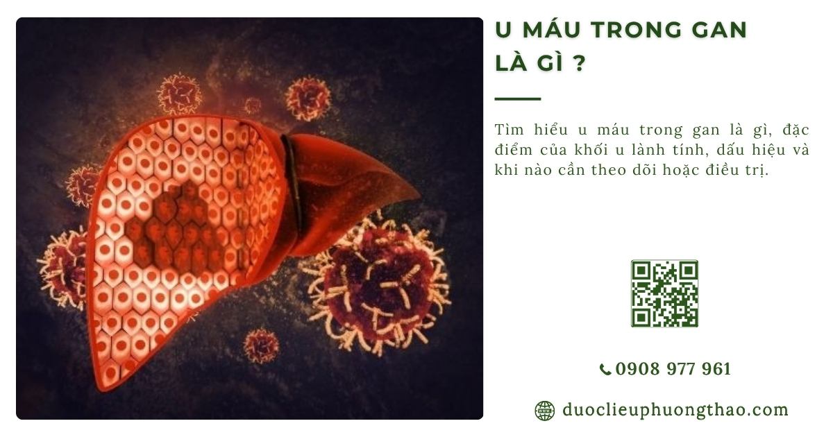 u máu trong gan là gì