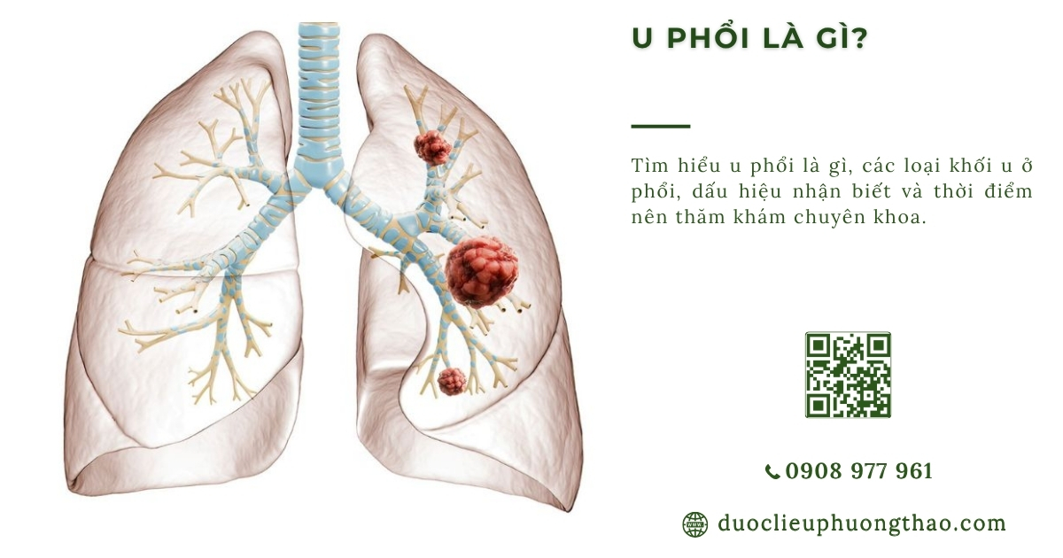 u phổi là gì