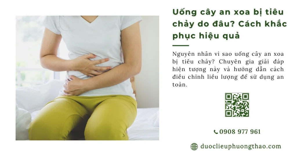 Uống cây an xoa bị tiêu chảy? Tác dụng phụ hay đang thải độc tố