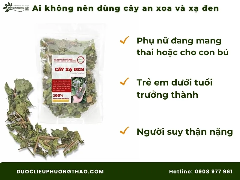Cây an xoa và cây xạ đen: Công dụng, cách dùng và lưu ý quan trọng trước khi dùng Những nhóm người không nên sử dụng kết hợp cây an xoa và xạ đen