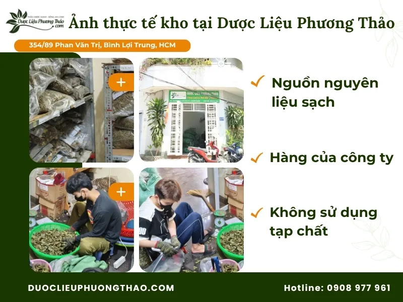 Cây xạ đen bao nhiêu tiền? Cập nhật chi tiết bảng giá xạ đen khô 2026 Ảnh thực tế kho tại Dược Liệu Phương Thảo
