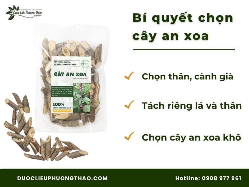 Hướng dẫn chi tiết cách sao vàng hạ thổ cây an xoa chuẩn xác tại nhà Bí quyết chọn cây an xoa