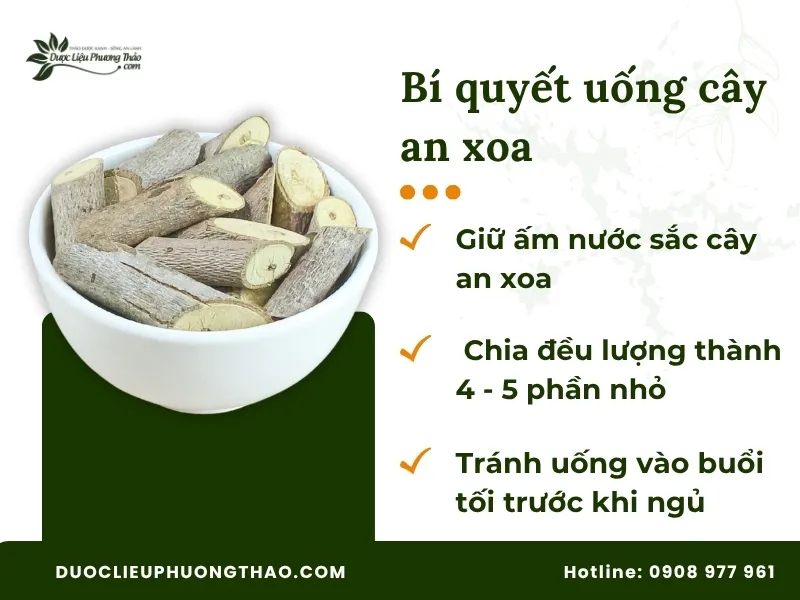 Cách nấu cây an xoa đúng chuẩn tại nhà an toàn và hiệu quả từ sơ chế đến khi sử dụng Bí quyết uống cây an xoa