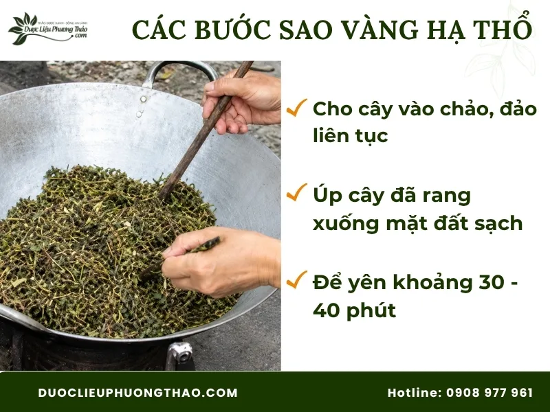 Hướng dẫn chi tiết cách sao vàng hạ thổ cây an xoa chuẩn xác tại nhà Các bước cách sao vàng hạ thổ cây an xoa