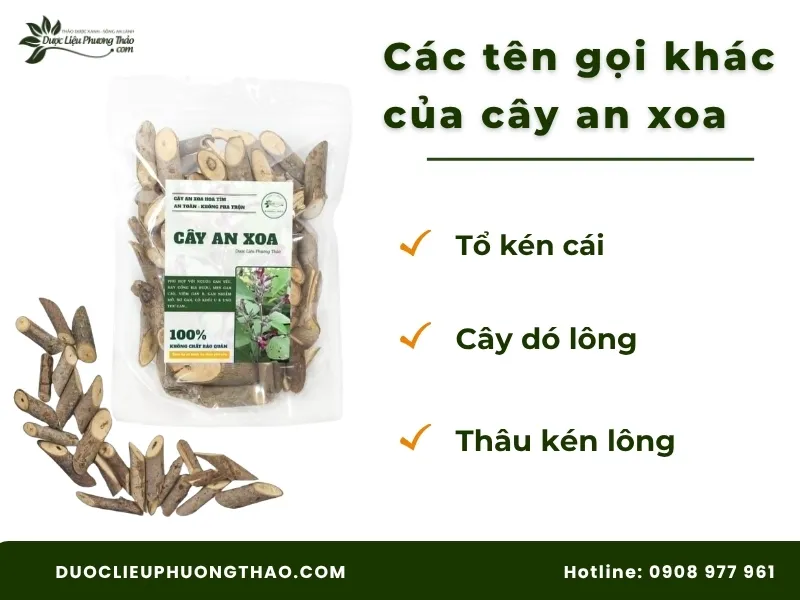Các tên gọi khác của cây an xoa