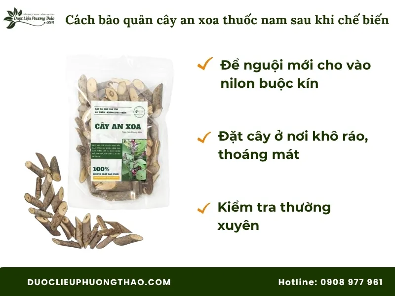 Cây an xoa thuốc nam là gì? Giải đáp chi tiết công dụng, cách dùng và lưu ý quan trọng Cách bảo quản cây an xoa thuốc nam sau khi chế biến