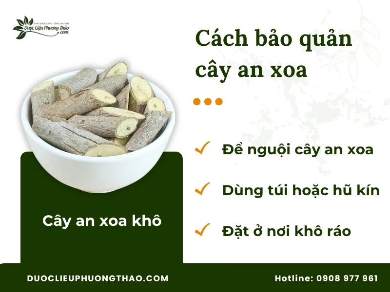 Các bước bảo quản cây an xoa