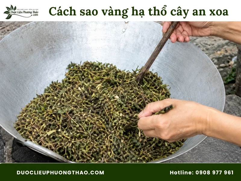 Hướng dẫn chi tiết cách sao vàng hạ thổ cây an xoa chuẩn xác tại nhà