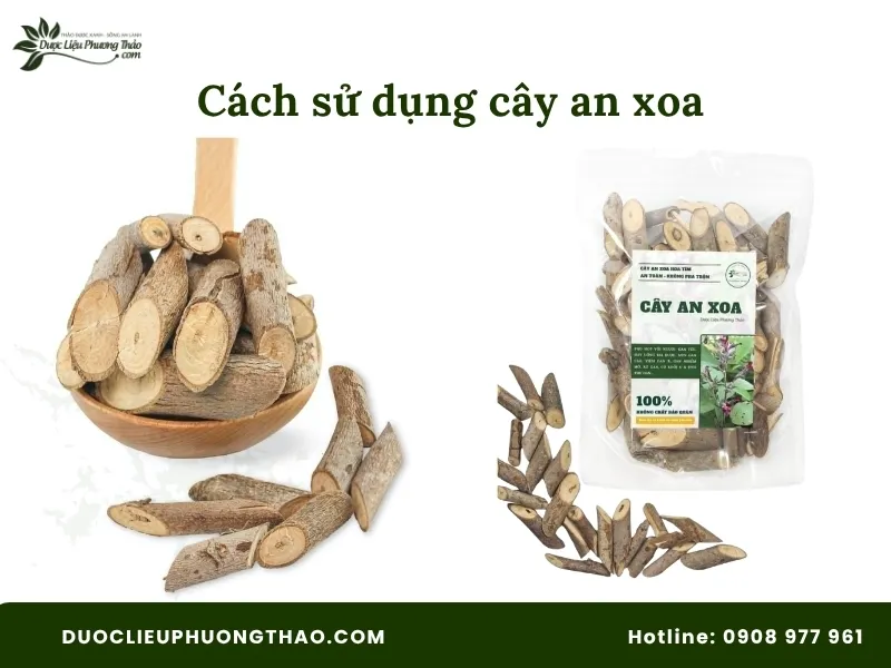 Cách sử dụng cây An Xoa như thế nào là tốt? Cách nấu, liều lượng và lưu ý