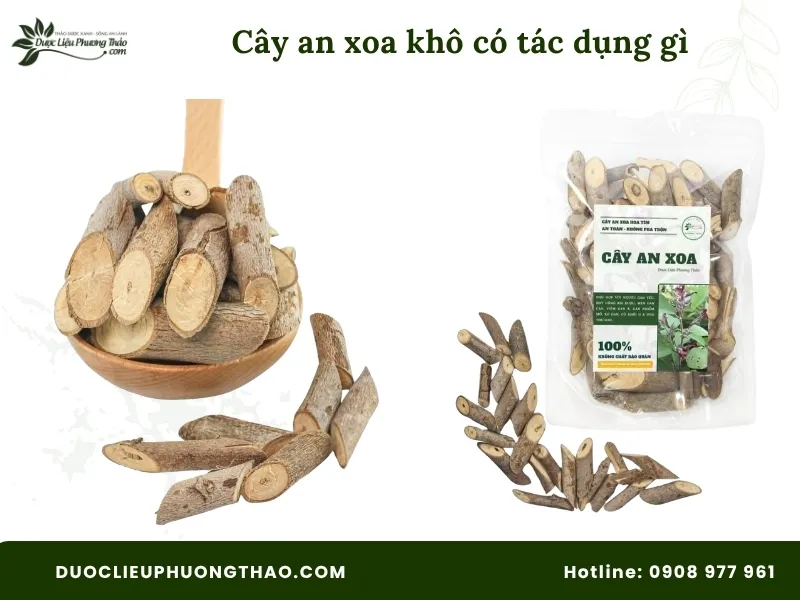 Cây an xoa khô có tác dụng gì? Góc nhìn từ dân gian đến khoa học hiện đại
