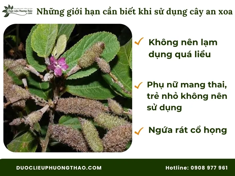Những giới hạn cần biết khi sử dụng cây an xoa