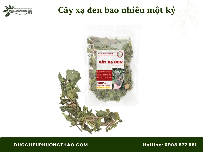 Cây xạ đen bao nhiêu một ký? Cập nhật giá 1kg xạ đen khô 2026