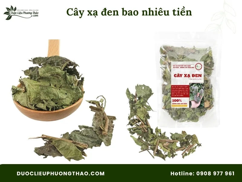 Cây xạ đen bao nhiêu tiền? Cập nhật chi tiết bảng giá xạ đen khô 2026