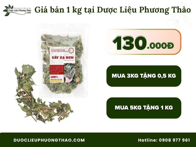 Cây xạ đen bao nhiêu một ký? Cập nhật giá 1kg xạ đen khô 2026 Cây xạ đen bao nhiêu một ký tại Dược Liệu Phương Thảo
