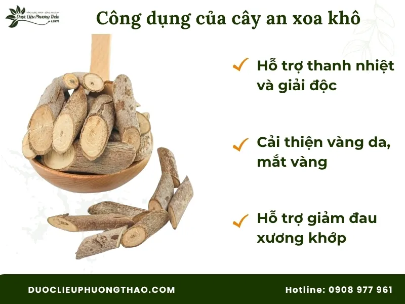 Cây an xoa khô có tác dụng gì theo góc nhìn dân gian