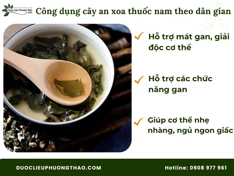 Cây an xoa thuốc nam là gì? Giải đáp chi tiết công dụng, cách dùng và lưu ý quan trọng Công dụng cây an xoa thuốc nam theo kinh nghiệm dân gian