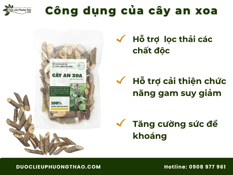 Cây an xoa và cây xạ đen: Công dụng, cách dùng và lưu ý quan trọng trước khi dùng Công dụng của cây an xoa theo khoa học