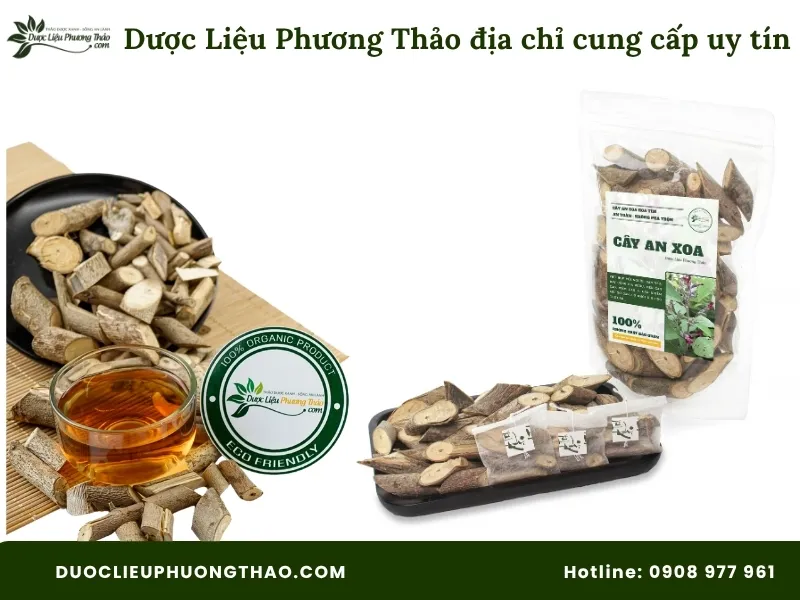Cây an xoa thuốc nam là gì? Giải đáp chi tiết công dụng, cách dùng và lưu ý quan trọng Dược Liệu Phương Thảo địa chỉ cung cấp uy tín cây an xoa thuốc nam