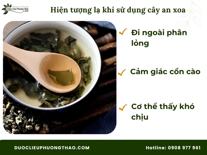 Hiện tượng lạ khi sử dụng cây an xoa lần đầu 