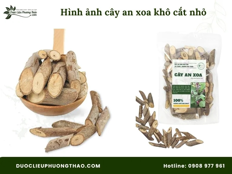 Tổng hợp 18 hình ảnh cây an xoa: Từ cây tươi, hoa tím đến cây khô dễ nhận biết Hình ảnh cây an xoa khô đã cắt nhỏ