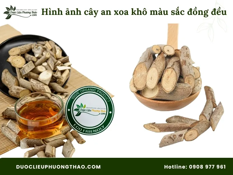 Tổng hợp 18 hình ảnh cây an xoa: Từ cây tươi, hoa tím đến cây khô dễ nhận biết Hình ảnh cây an xoa khô màu sắc đồng đều