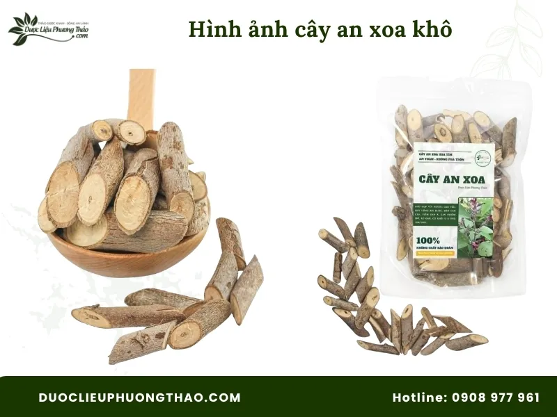 Tổng hợp 10 hình ảnh cây an xoa khô sắc nét, chuẩn xác từng bộ phận