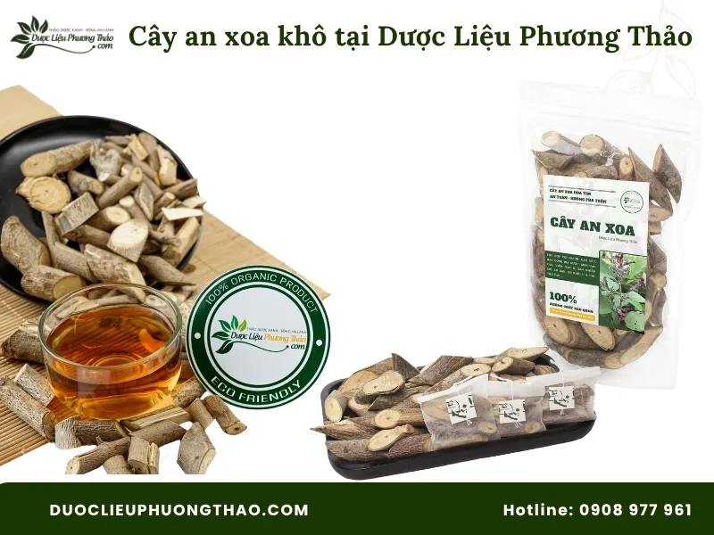 Cây an xoa khô tại Dược Liệu Phương Thảo 