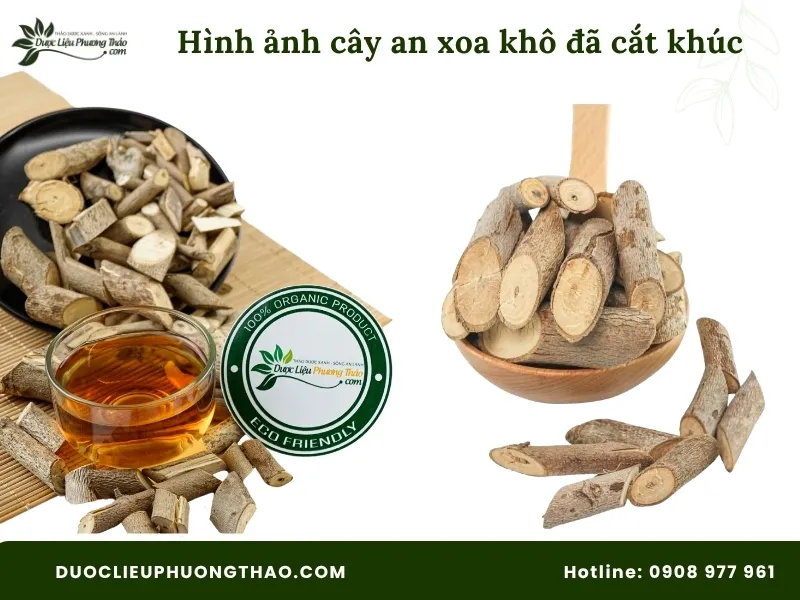 Hình ảnh cây an xoa đã cắt khúc