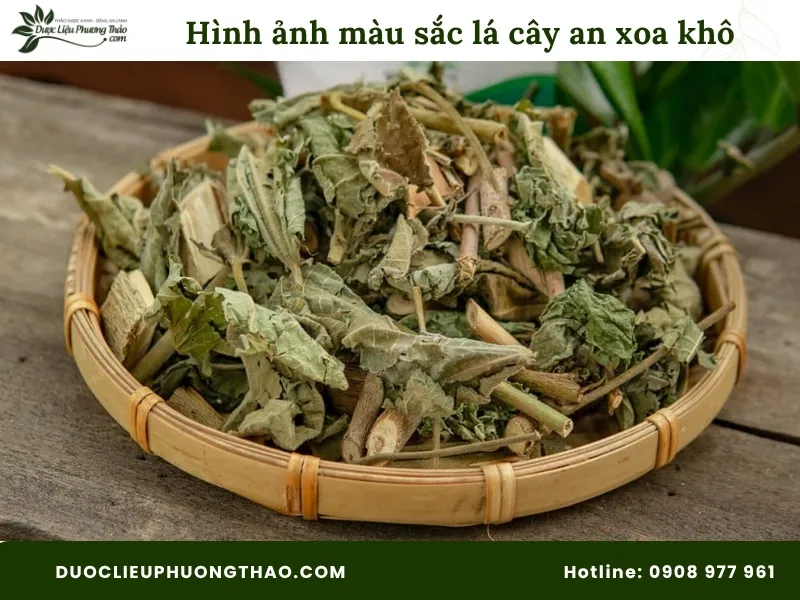 Hình ảnh màu sắc lá cây an xoa khô