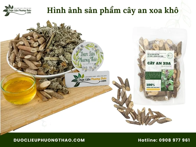 Tổng hợp 18 hình ảnh cây an xoa: Từ cây tươi, hoa tím đến cây khô dễ nhận biết Hình ảnh sản phẩm cây an xoa khô