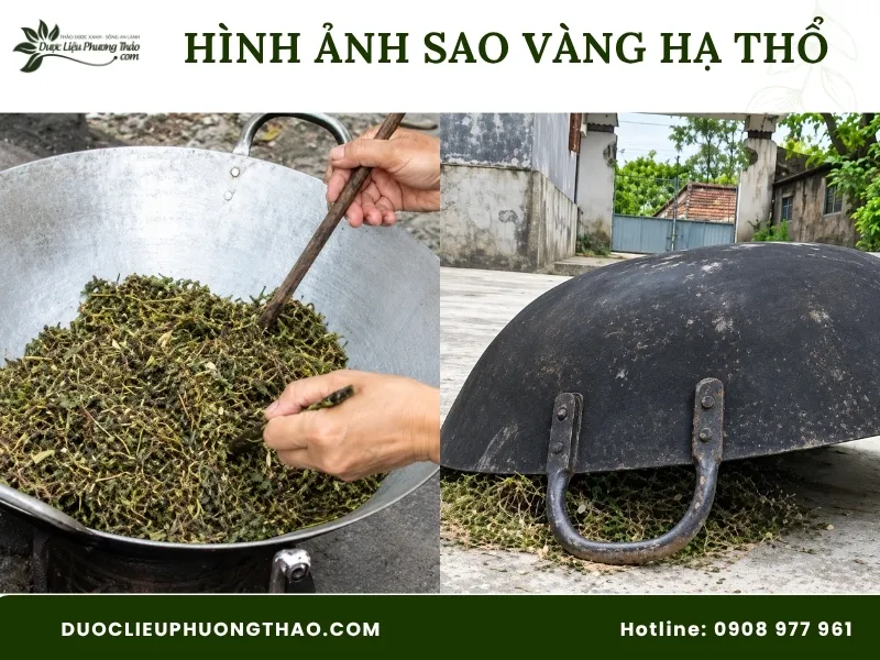Cách nấu cây an xoa đúng chuẩn tại nhà an toàn và hiệu quả từ sơ chế đến khi sử dụng Sao vàng hạ thổ