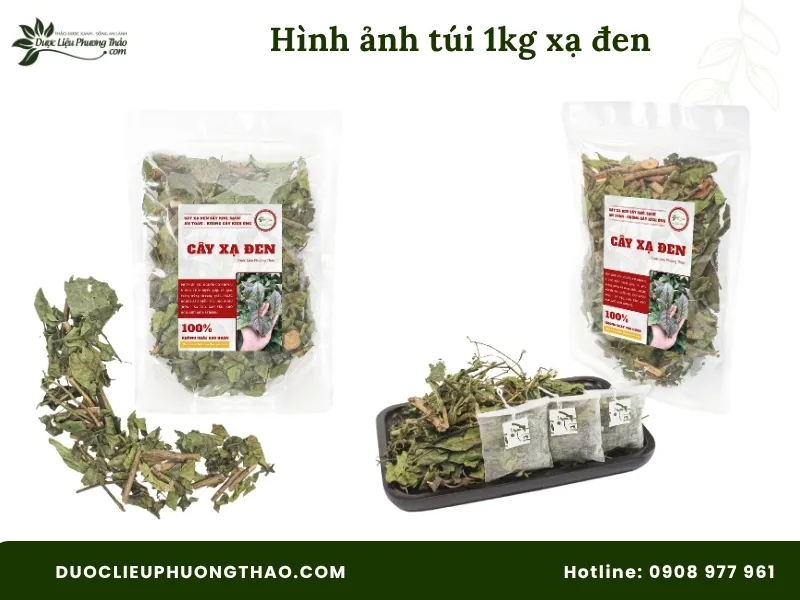 Cây xạ đen bao nhiêu một ký? Cập nhật giá 1kg xạ đen khô 2026 Hình ảnh cây xạ đen túi 1kg tại Dược Liệu Phương Thảo