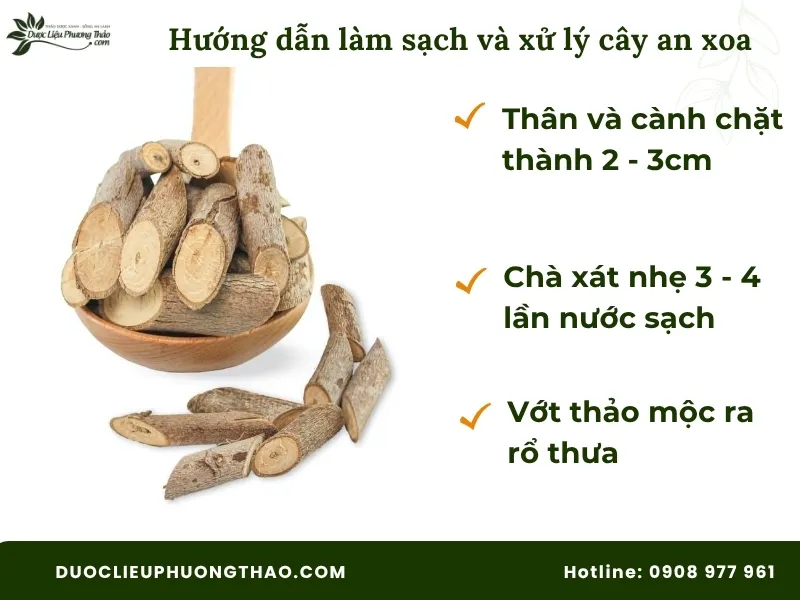 Cách chế biến cây an xoa làm thuốc chuẩn Đông y, an toàn tại nhà chi tiết từ A-Z Cách làm sạch và xử lý để thực hiện cách chế biến cây an xoa làm thuốc