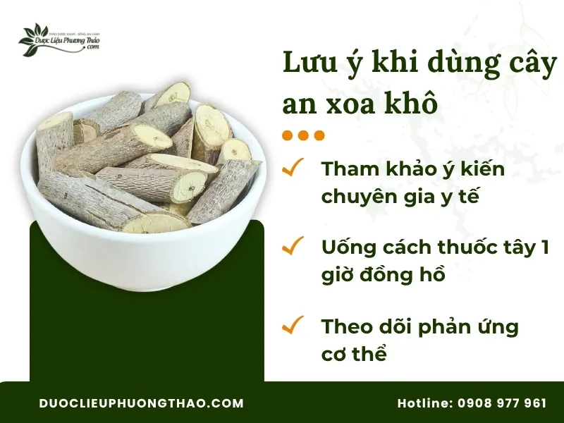Lưu ý khi sử dụng cây an xoa khô