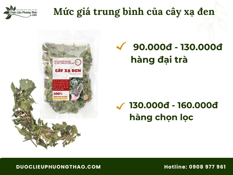 Cây xạ đen bao nhiêu tiền? Cập nhật chi tiết bảng giá xạ đen khô 2026 Mức giá trung bình của cây xạ đen