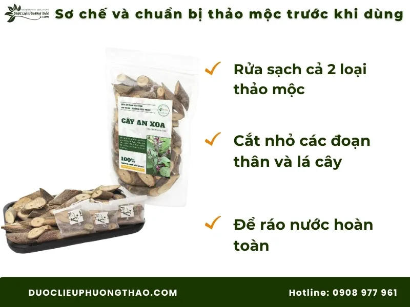 Cây an xoa và cây xạ đen: Công dụng, cách dùng và lưu ý quan trọng trước khi dùng Cách sơ chế và chuẩn bị thảo mộc trước khi dùng