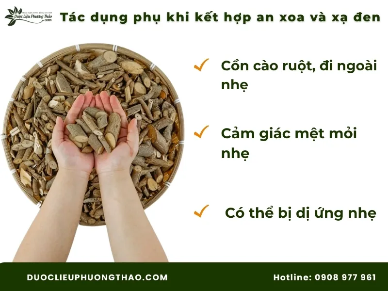 Cây an xoa và cây xạ đen: Công dụng, cách dùng và lưu ý quan trọng trước khi dùng Những tác dụng phụ khi kết hợp cây an xoa và cây xạ đen