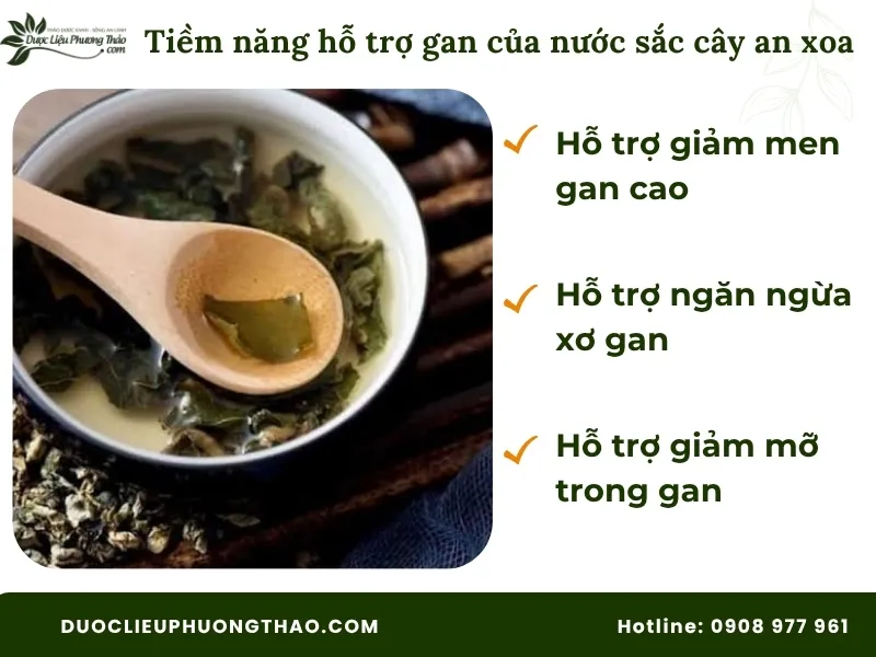 Cây an xoa nấu nước uống có tác dụng gì? 4 Sự thật bất ngờ từ khoa học và dân gian Cây an xoa nấu nước uống có tác dụng gì theo khoa học